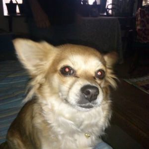 Meet your Posher, Verna